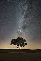 lettre Guillaume Cannat